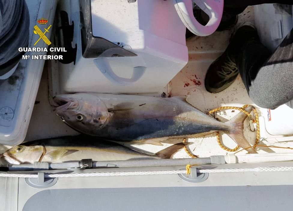 Denuncian a dos pescadores furtivos en la reserva marina de Cabo Tiñoso