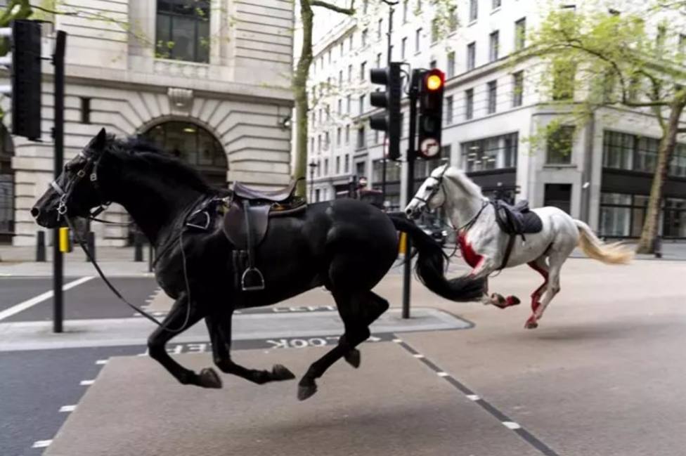 Dos de los caballos desbocados por el centro de Londres