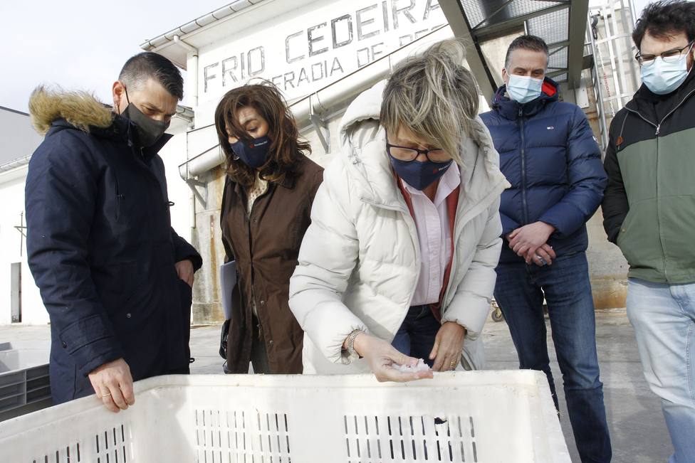 Rosa Quintana comprueba la calidad de hielo que produce la nueva máquina - FOTO: Xunta