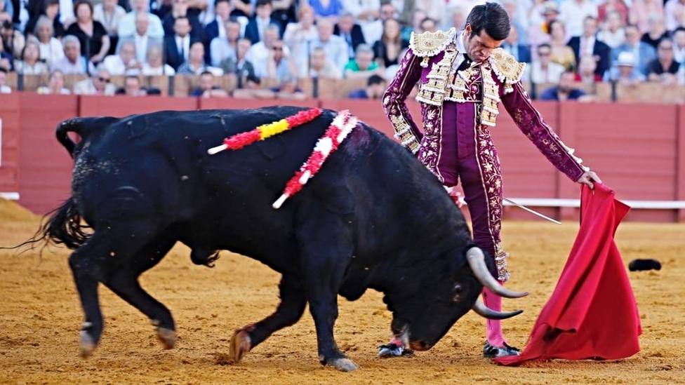Natural de Emilio de Justo a Filósofo, el toro de Olga Jiménez al que ha desorejado en Sevilla