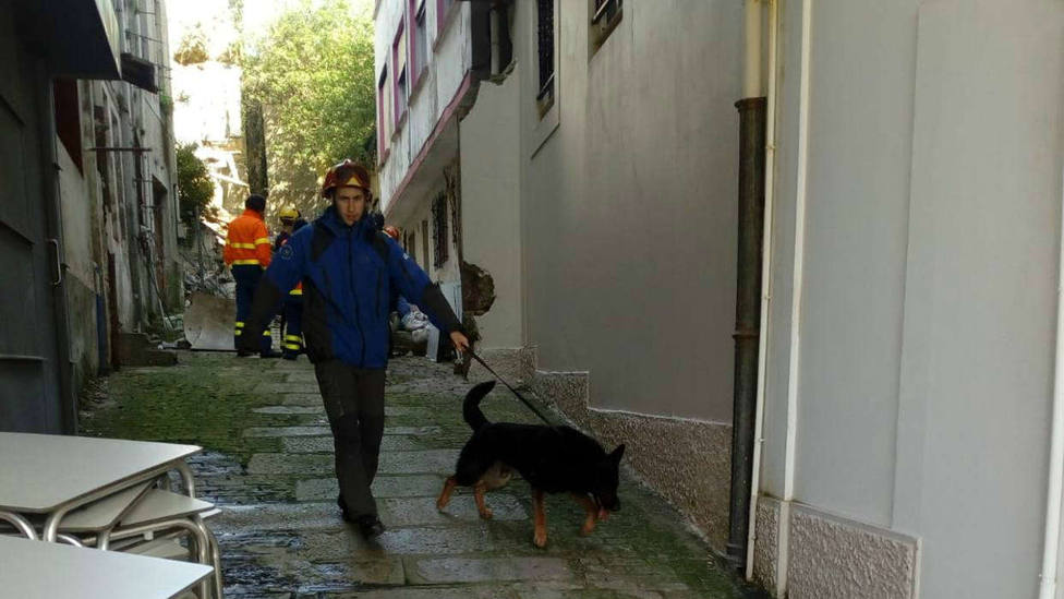 Integrante de Casaga con uno de los perros de rescate