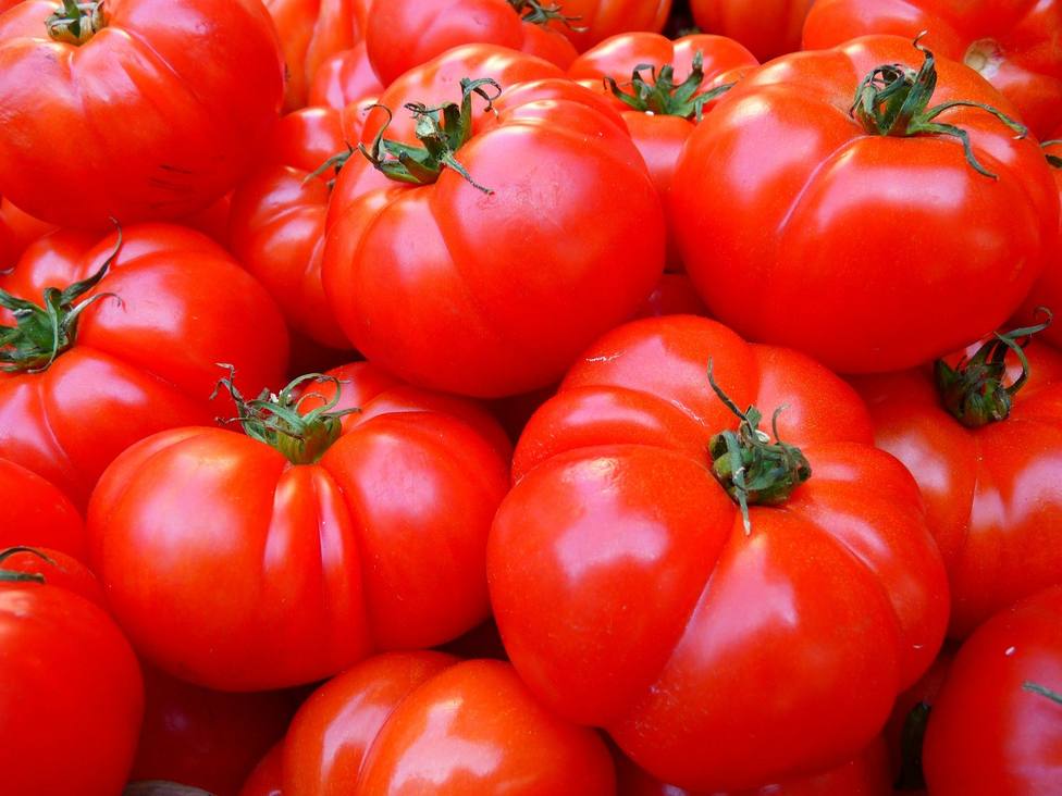 ctv-wkg-tomatoes-5356 1920