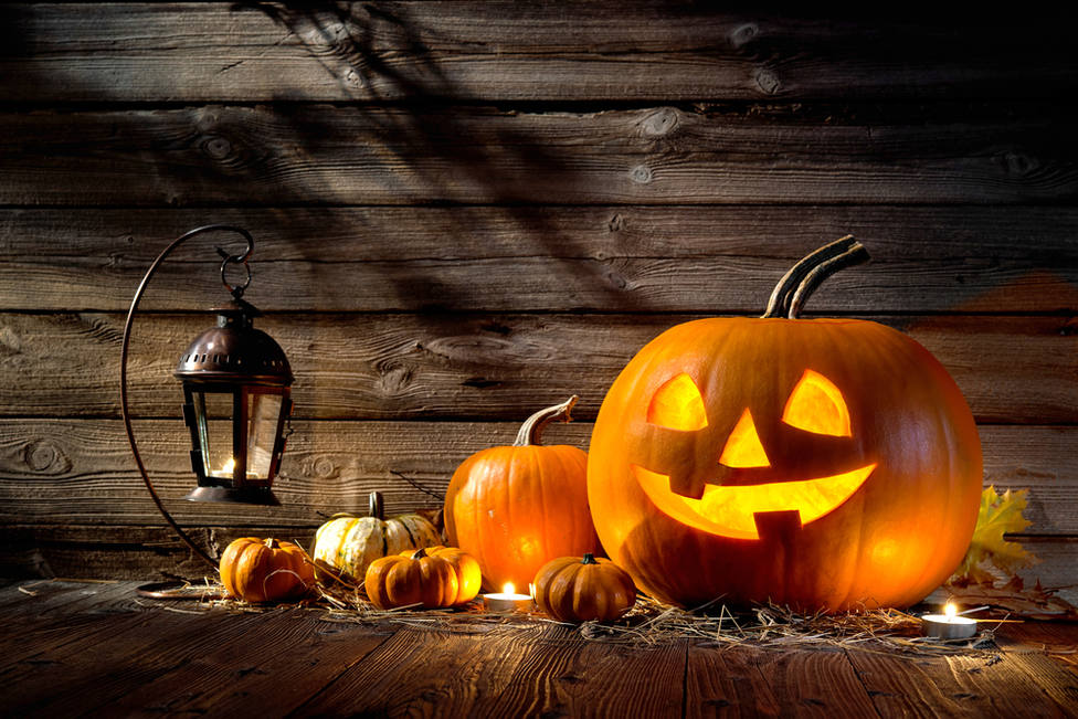 Halloween,Pumpkin,Head,Jack,Lantern,On,Wooden,Background