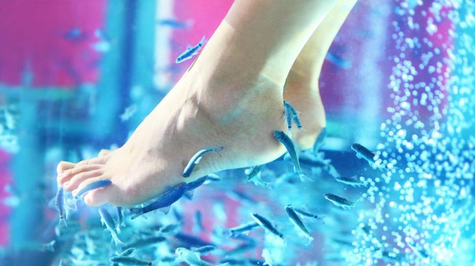 Una pedicura de peces provoca que una mujer pierda los dedos de un pie