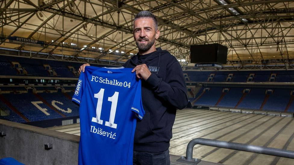 Ibisevic, nuevo jugador del Schalke