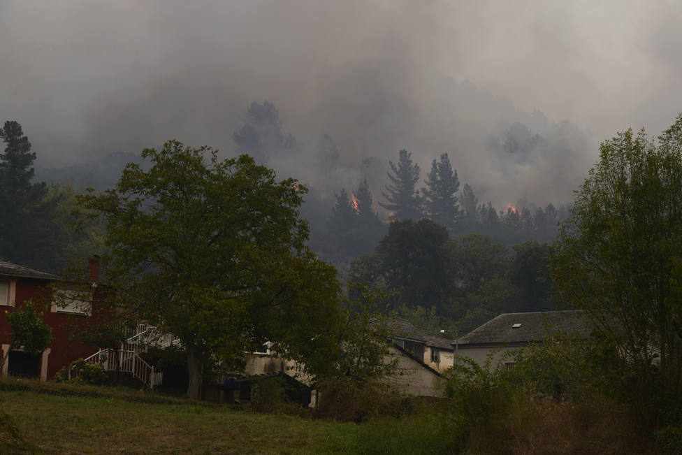El fuego de Ribas de Sil ha arrasado ya más de 700 hectáreas