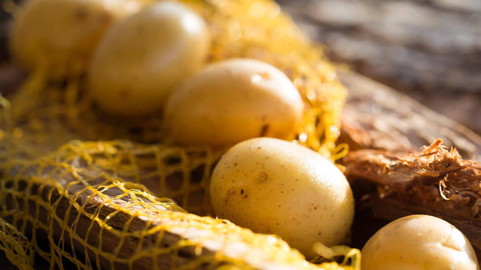 ¿Es bueno comer patatas que han echado raíces? Este es el detalle en el que debes fijarte antes de cocinarlas