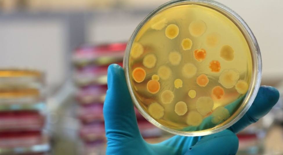 La bacterias resistentes a los antibióticos se van a cobrar muchas vidas