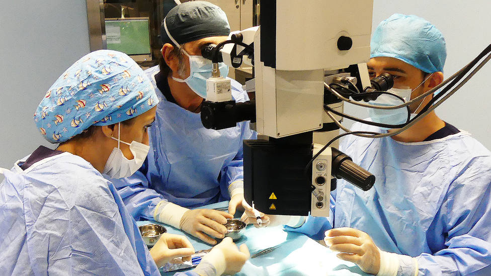 Hospital La Arruzafa realiza tres de cada diez trasplantes de córnea en Andalucía
