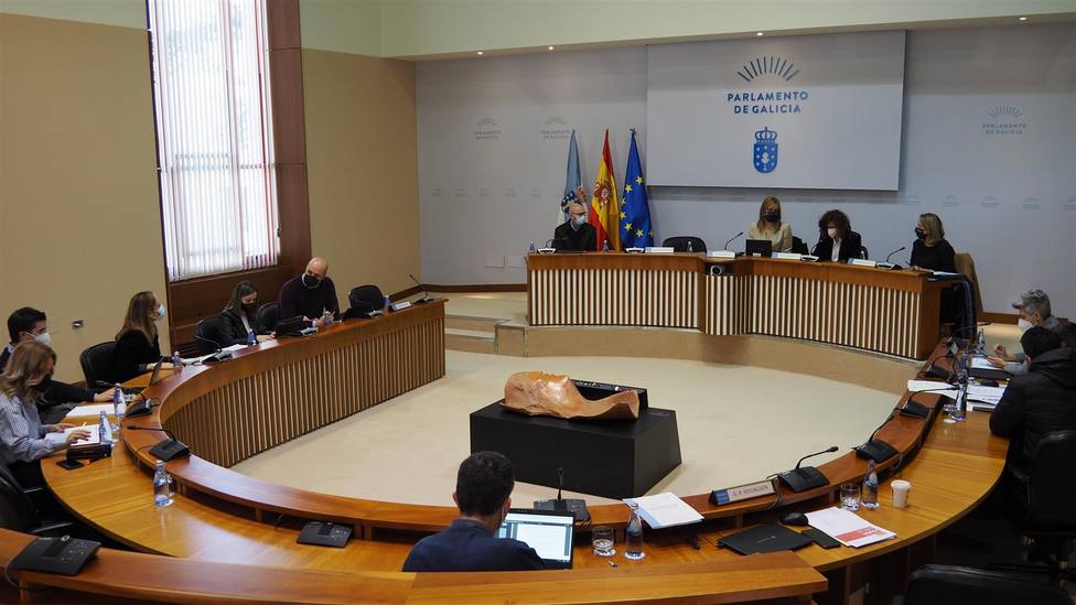 Comisión de Industria, Enerxía, Comercio e Turismo celebrada este miércoles - FOTO: Parlamento de Galicia