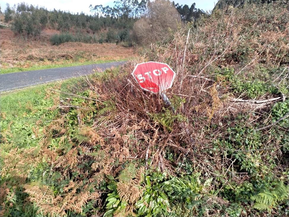 Un señal de Stop en el medio de la maleza en la carretera de Esmelle a Covas - FOTO: PP de Ferrol