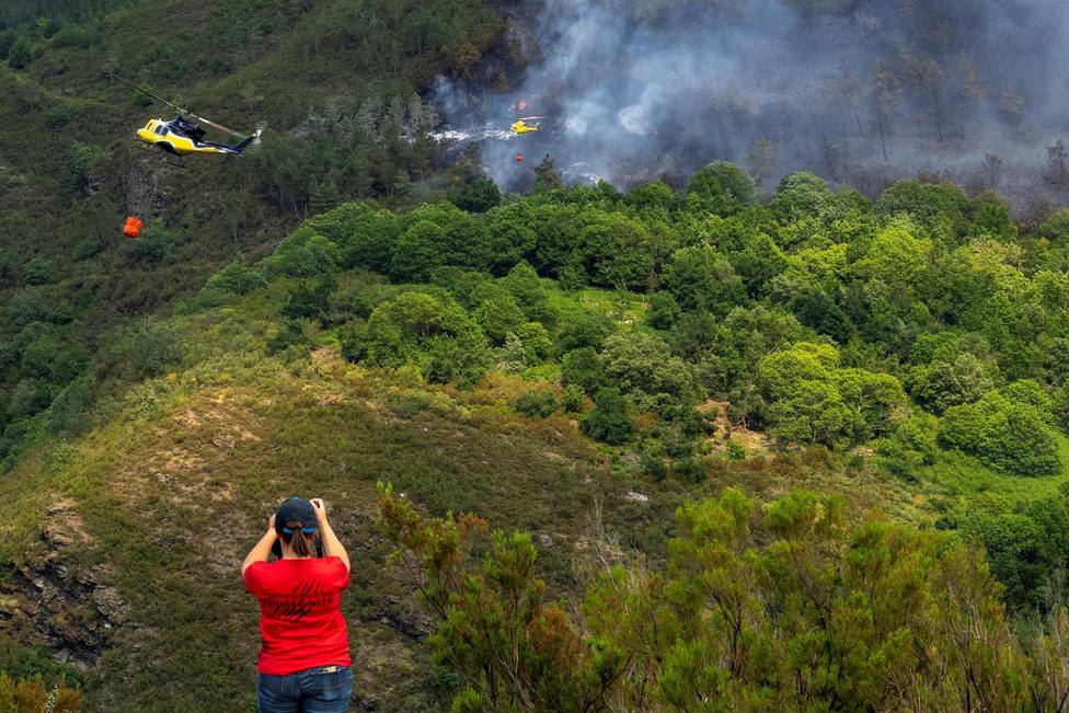 Dos incendios forestales activos en Galicia calcinan cerca de 300 hectáreas