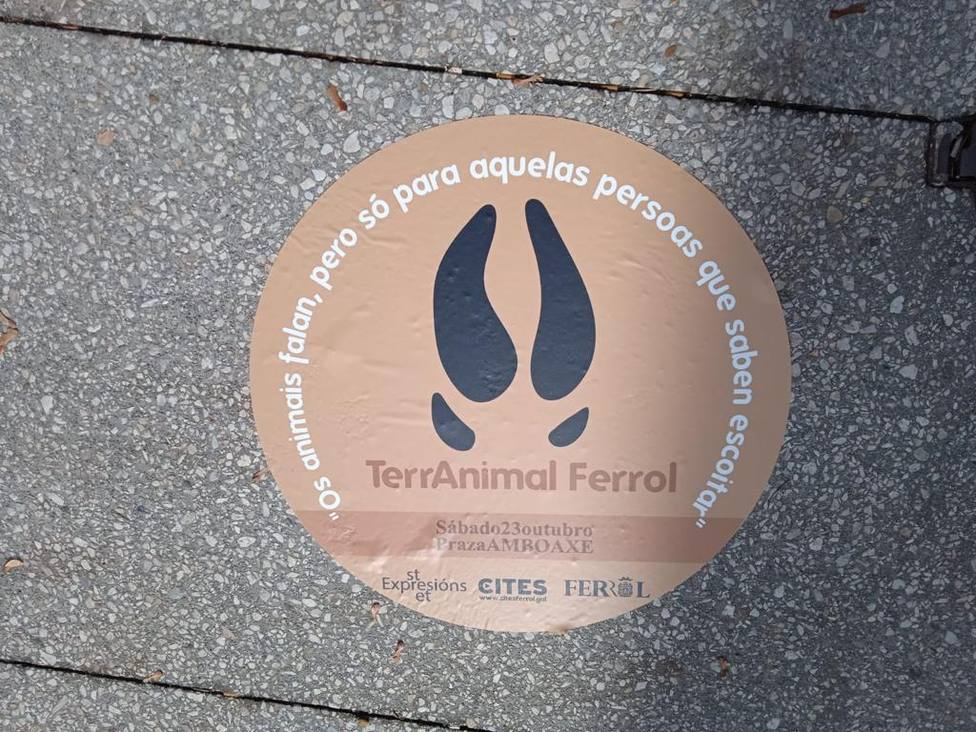 Calles y plazas de Ferrol se han llenado de pegatinas como esta. FOTO: CITES Ferrol
