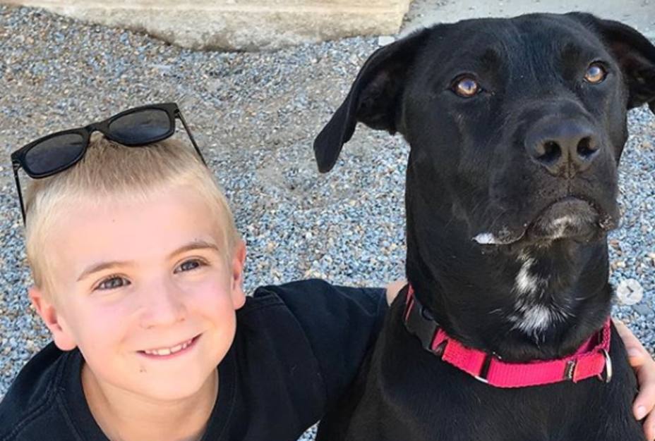 El niño de 7 años que ha salvado la vida a más de mil perros