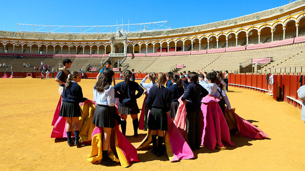 Los alumnos de diversos centros escolares de Sevilla han podido pisar el ruedo de la Maestranza