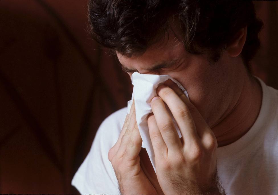¿Gripe, catsrro o alergia?