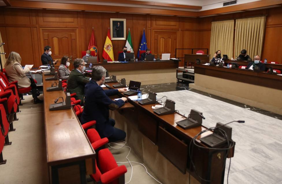 El Pleno apoya la candidatura de Córdoba para acoger la base logística de Córdoba