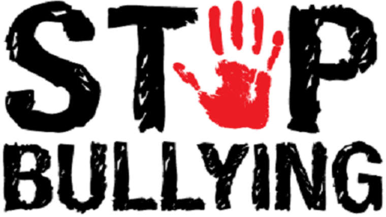 La Asociación Tolerancia 0 al bullying pide que "se visibilizen" todos los casos de acoso escolar