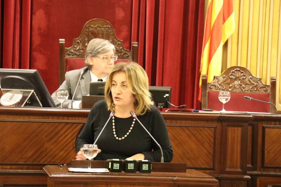 Tur defiende que los problemas de climatización del Museo de Mallorca están controlados