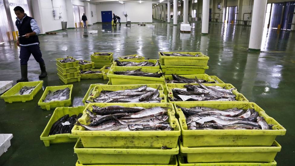 La Guardia Civil se ha incautado de casi 20.000 productos alimentarios con irregularidades en el etiquetado