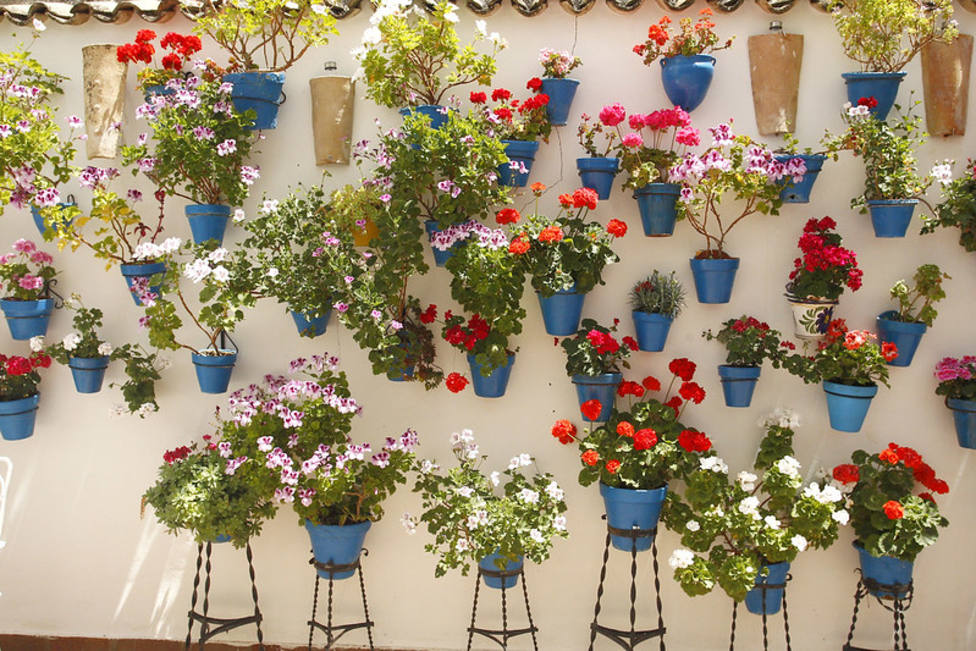 La provincia de Córdoba abre sus patios a operadores turísticos y medios con Patios con Color