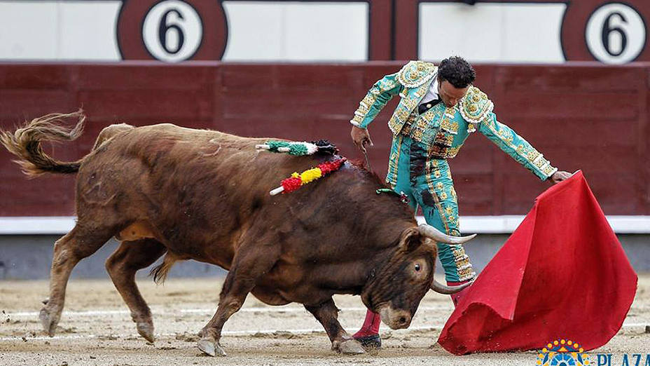 Natural de Antonio Ferrera la toro de Las Ramblas al que cortó una oreja este domingo