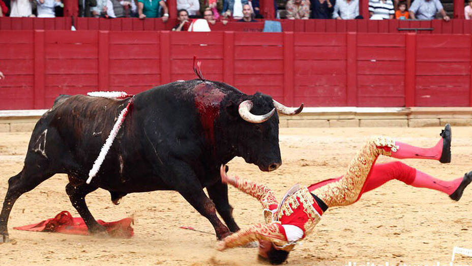 Momento de la brutal caída de David de Miranda tras ser volteado por el astado de Sánchez Urbina en Toro