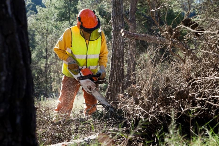 Las brigadas forestales inician la campaña de trabajos preventivos contra incendios forestales en los bosques