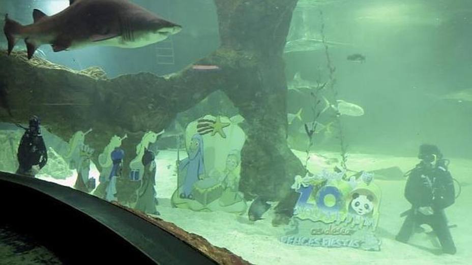 Belén  Zoo Aquarium de Madrid