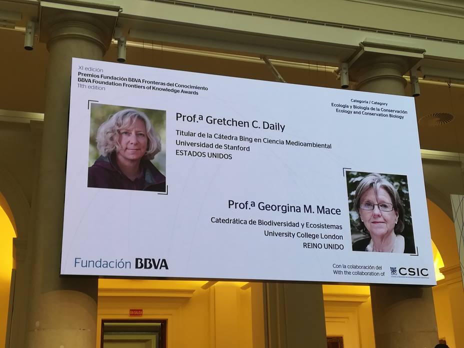 Gretchen Daily y Georgina Mace, Premios Fundación BBVA por ser visionarias en combatir la pérdida de especies
