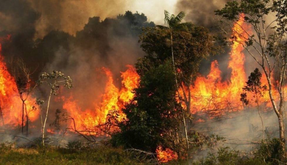 El humo de los incendios que calcinan la Amazonía en Brasil y Bolivia llega ya hasta Perú