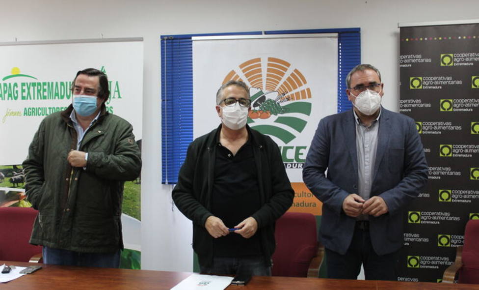 Los dirigentes de Cooperativas Agroalimentarias, ASAJA y UPA, Angel Pachecho, Angel García e Ignacio Huertas