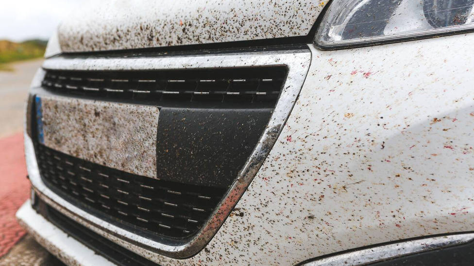 MOSQUITOS COCHE  Dos trucos infalibles para limpiar los mosquitos del coche