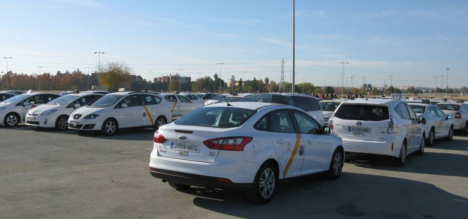 El calendario del taxi para 2019 eleva al 80 por ciento el porcentaje mínimo de coches eximidos de descanso