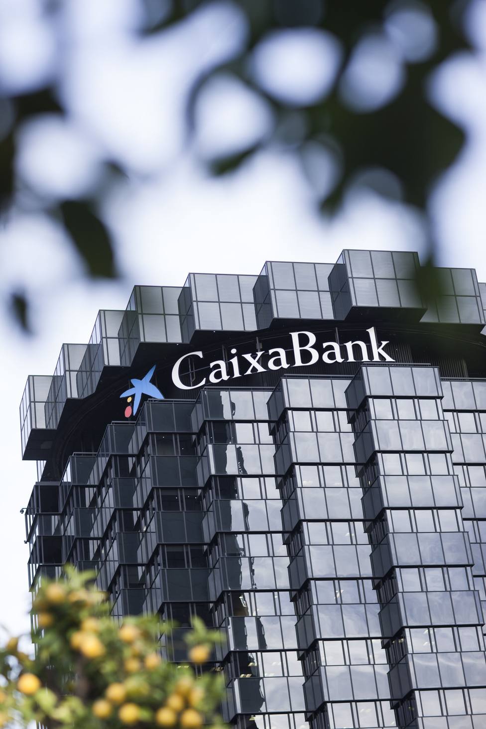 CaixaBank y su obra social, Telefónica y El Corte Inglés, las empresas sistémicas españolas más exitosas