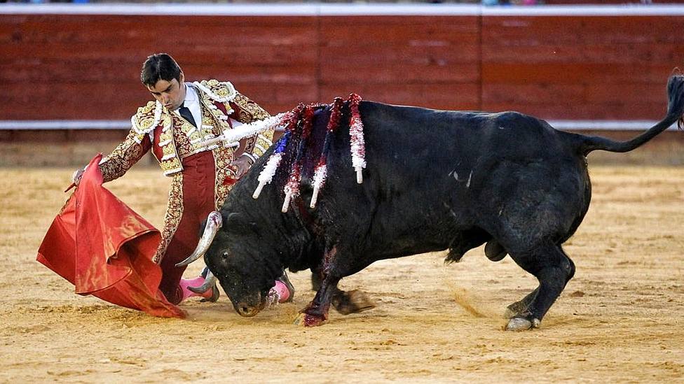 Inicio de faena de rodillas de Perera a Vitoreado, el toro de Parladé indultado en Huelva