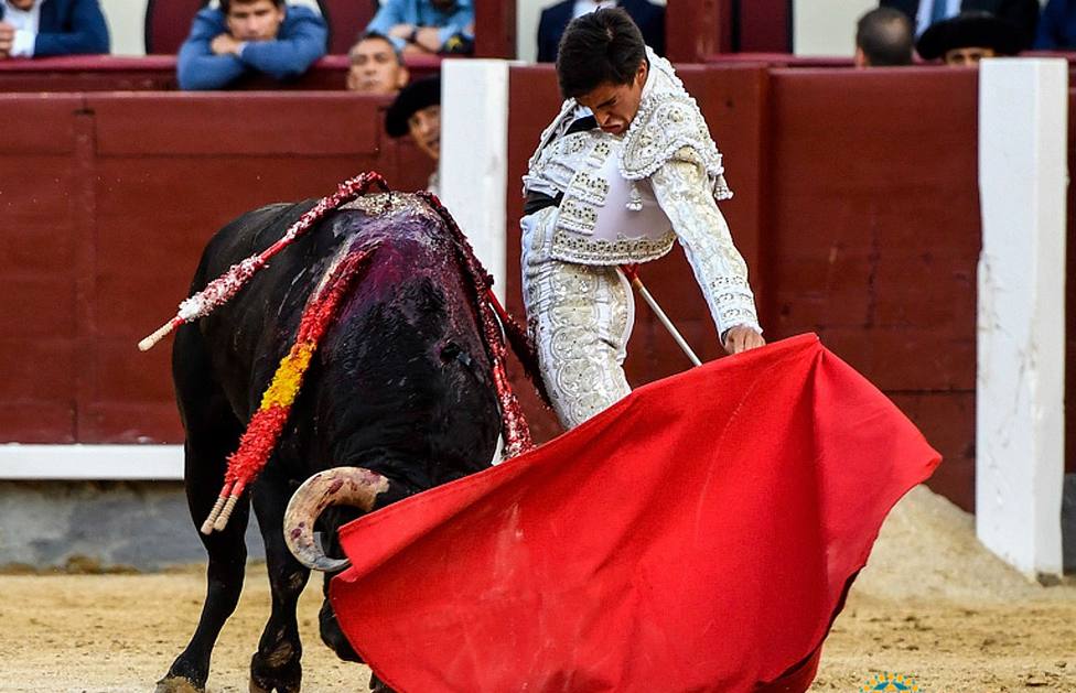 Uno de los naturales con los que impactó Ángel Téllez en Las Ventas con un toro de Arauz de Robles