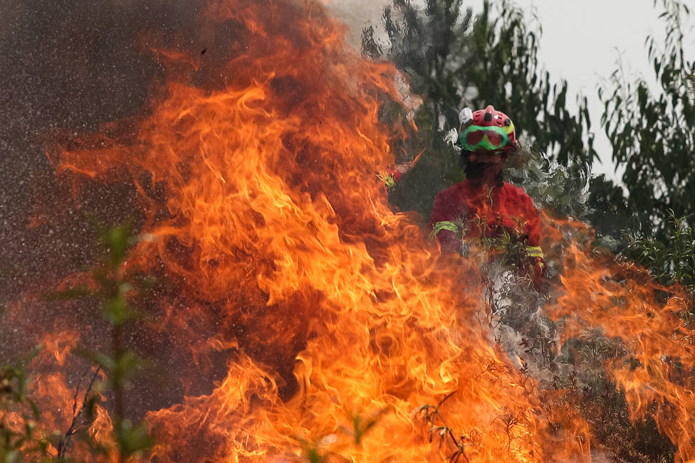 Portugal sigue luchando contra el incendio que ya ha arrasado 8.500 hectáreas