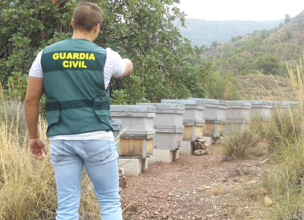La Guardia Civil investiga a cuatro personas por el hurto de colmenas en Zarcilla de Ramos