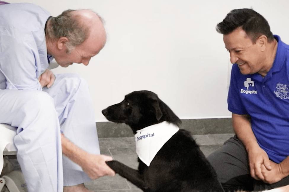 Los pacientes de la UCI de Son Llàtzer podrán recibir la visita de sus perros