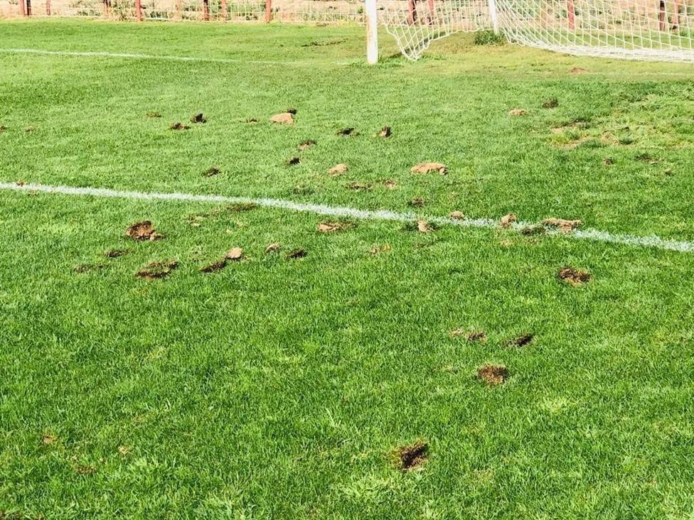 Un ataque vandálico destroza el campo de hierba natural del Mundial 82 de Logroño