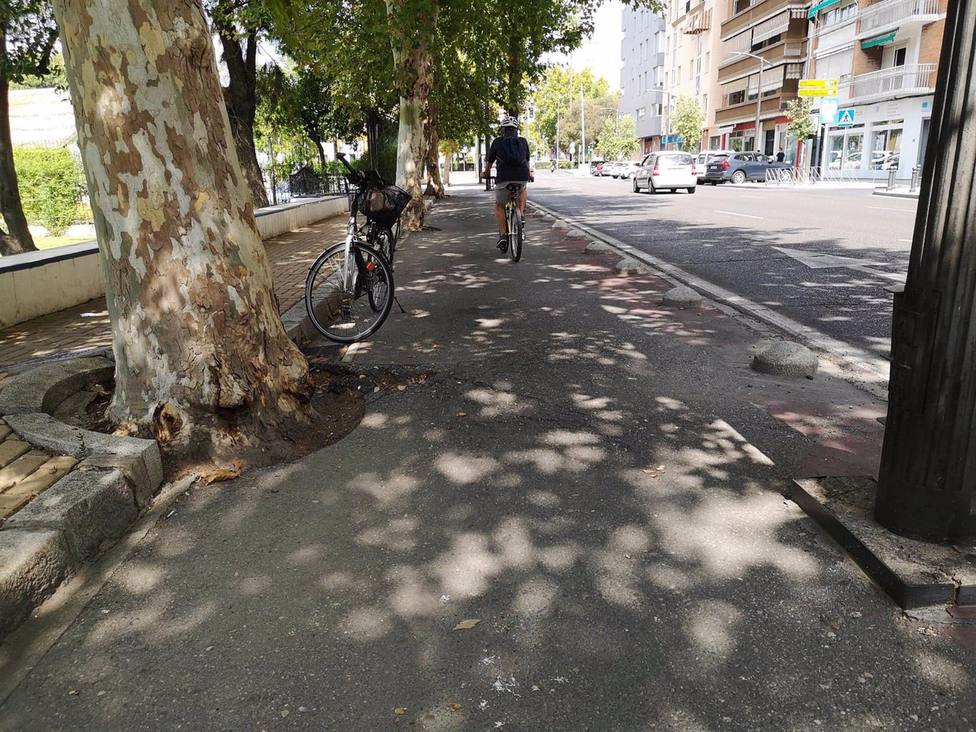 La Plataforma Carril Bici pide al Ayuntamiento transparencia con la nueva ordenanza de movilidad