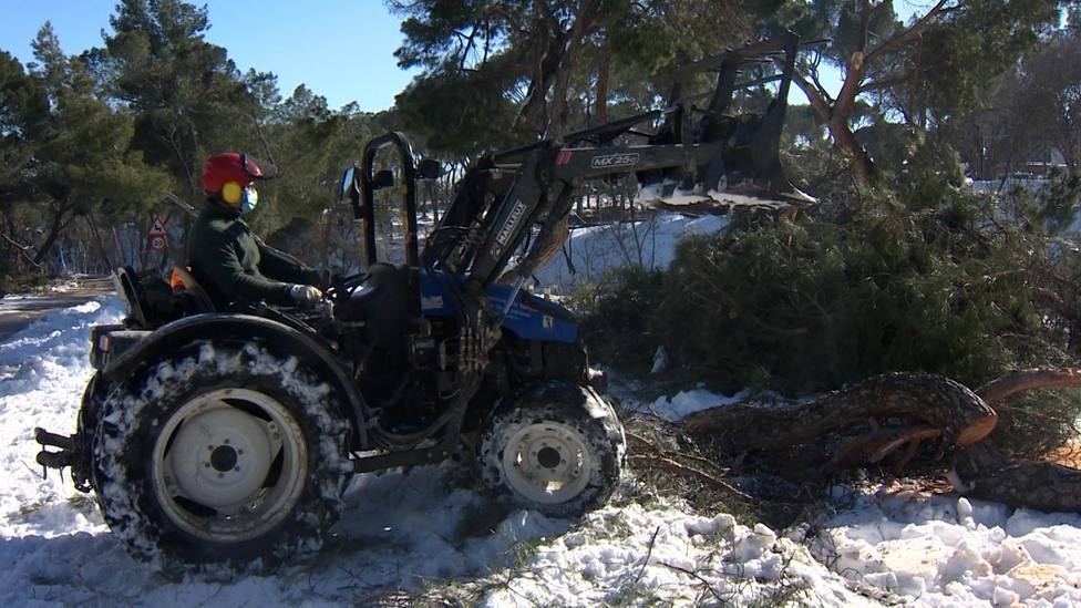Los Operarios de Madrid retiran los árboles caídos en la Casa de Campo