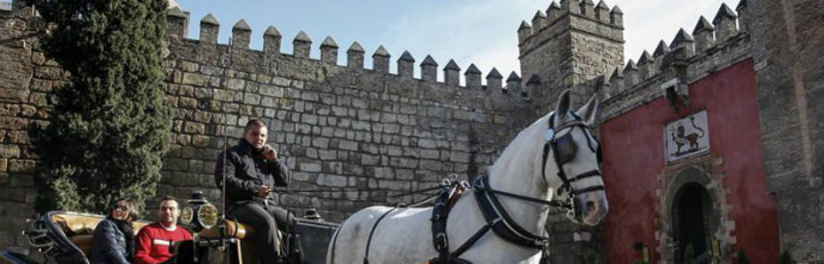 Imagen del Real Alcázar de Sevilla que roza su máximo histórico de visitantes (EFE)