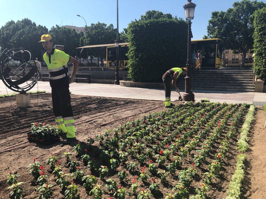 El Ayuntamiento adorna Murcia con 70.000 flores de colores para recibir la Feria de Septiembre