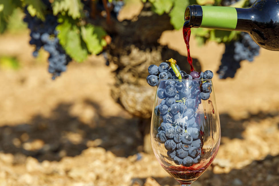 El viñedo en La Mancha, factor clave de sostenibilidad en la conservación del territorio y el Medio Ambiente