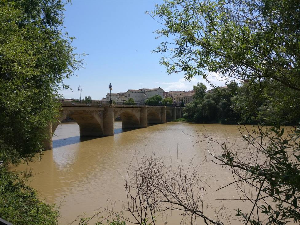 Puente de Piedra de Logroño