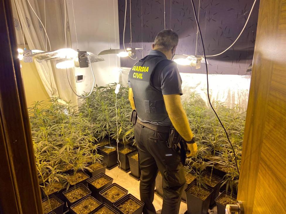 Granada.- Sucesos.- Descubiertos cinco nuevos centros de producciÃ³n de marihuana en LÃ¡char