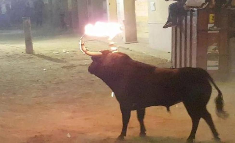 Jornada sobre el toro embolado en Vila-real