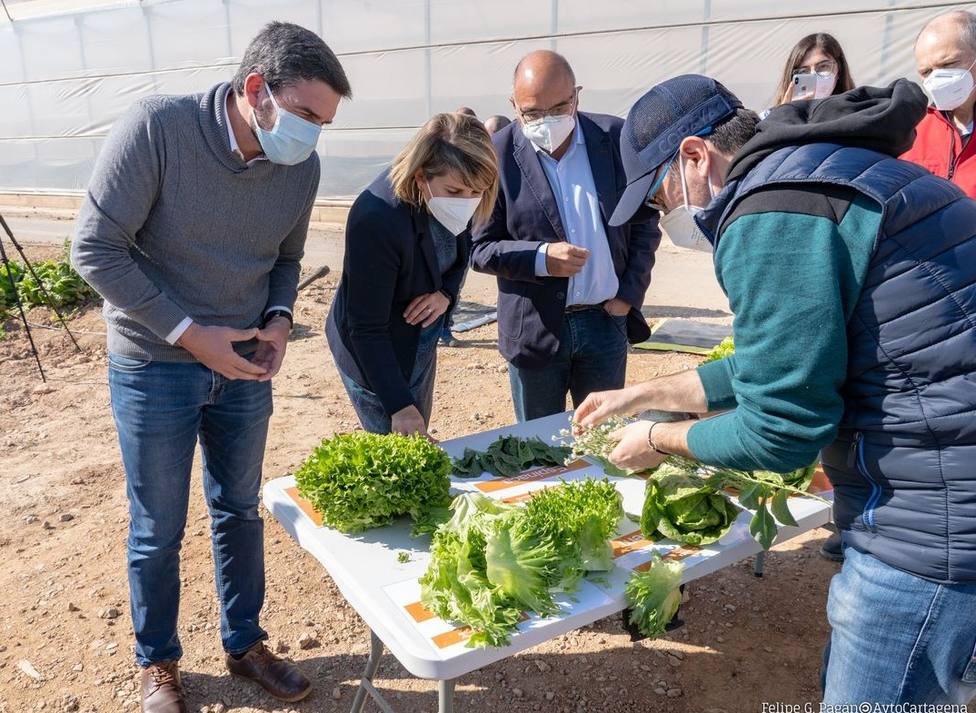 Investigan nuevas variedades hortícolas para hacer frente al cambio climático